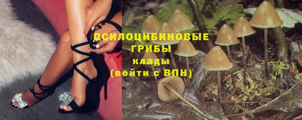 экстази Переславль-Залесский