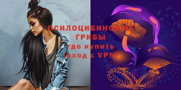 экстази Переславль-Залесский