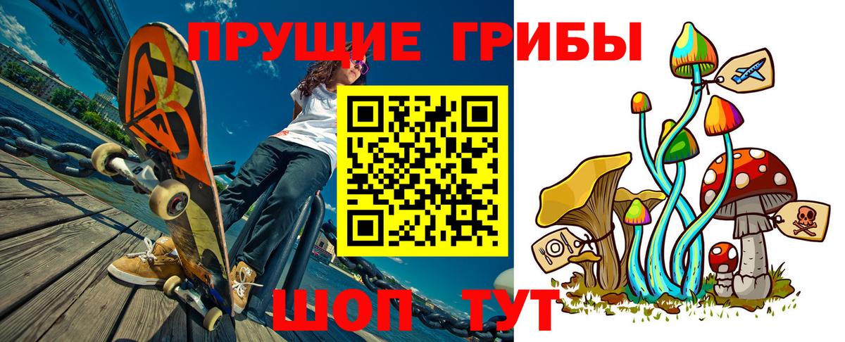 Псилоцибиновые грибы мухоморы  Санкт-Петербург 