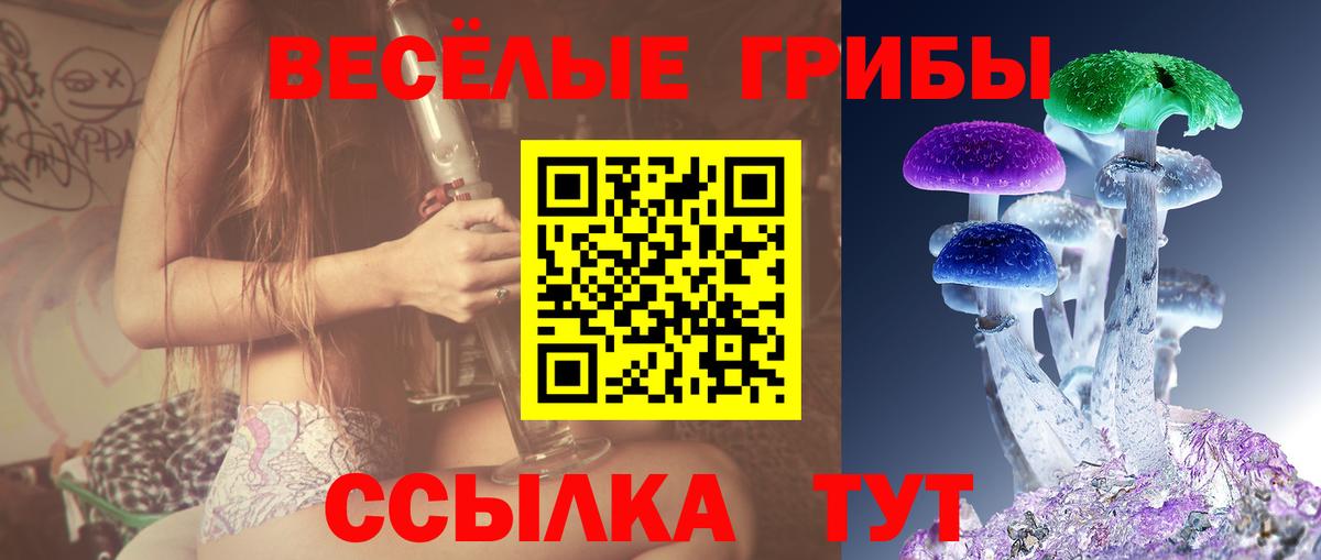 Галлюциногенные грибы Cubensis  наркошоп  Галлюциногенные грибы мухоморы  Санкт-Петербург  Вход с VPN 